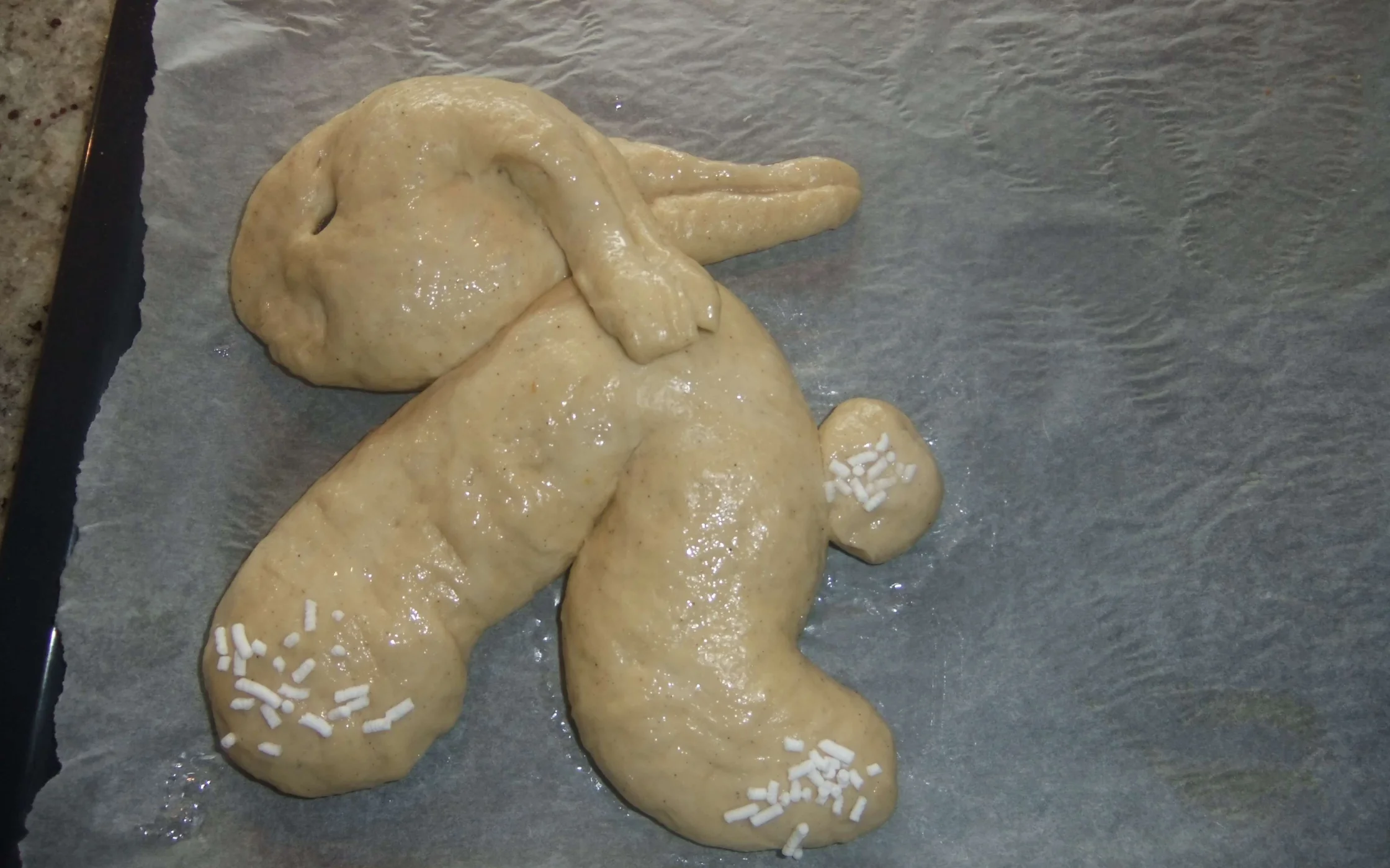 Hase vor dem Backen hp.jpg